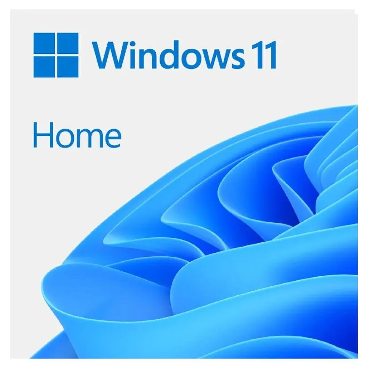 Coem Windows 11 Home